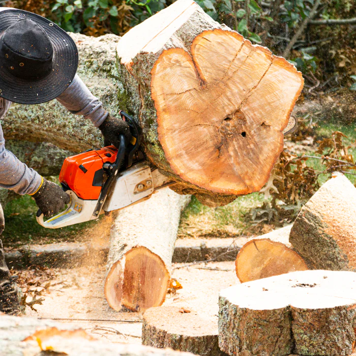 man working on tree removal galena mo