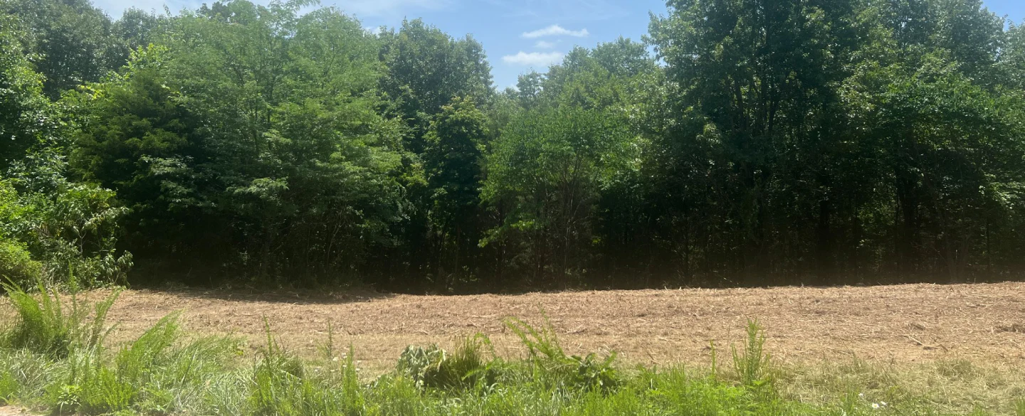 land clearing trees in the woods galena mo