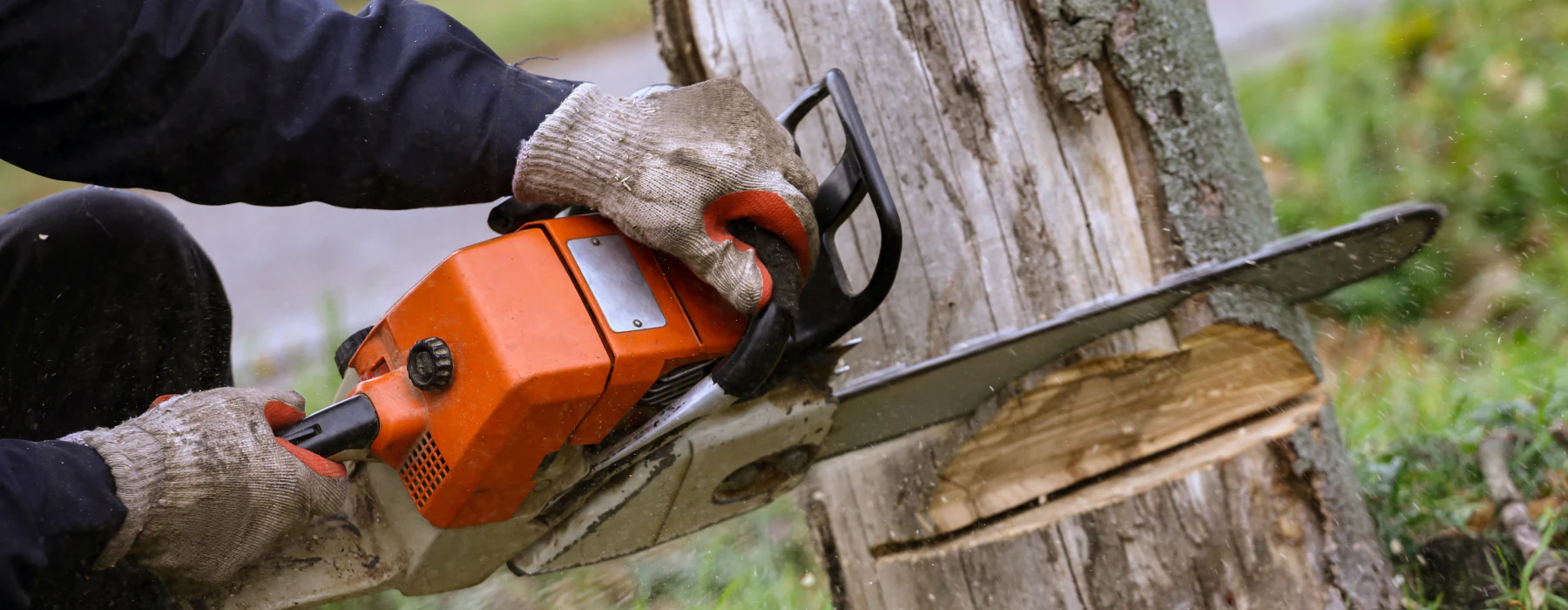 close up of a man using a chainsaw during tree removal springfield mo