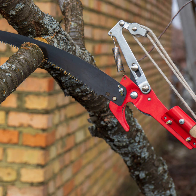 close up of a saw cutting a branch during tree trimming springfield mo